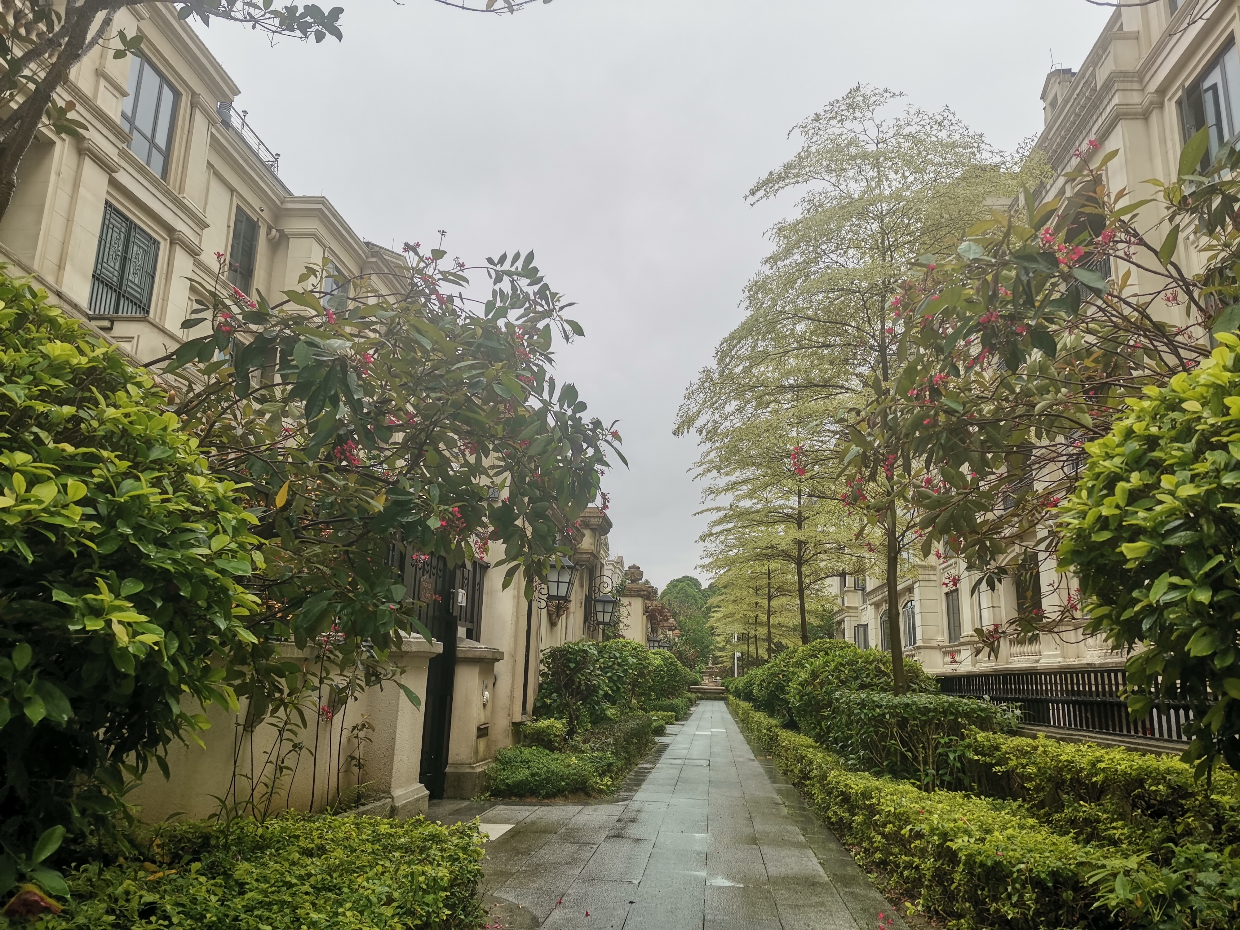 广州春日赏花季:缤纷花海等你来探
