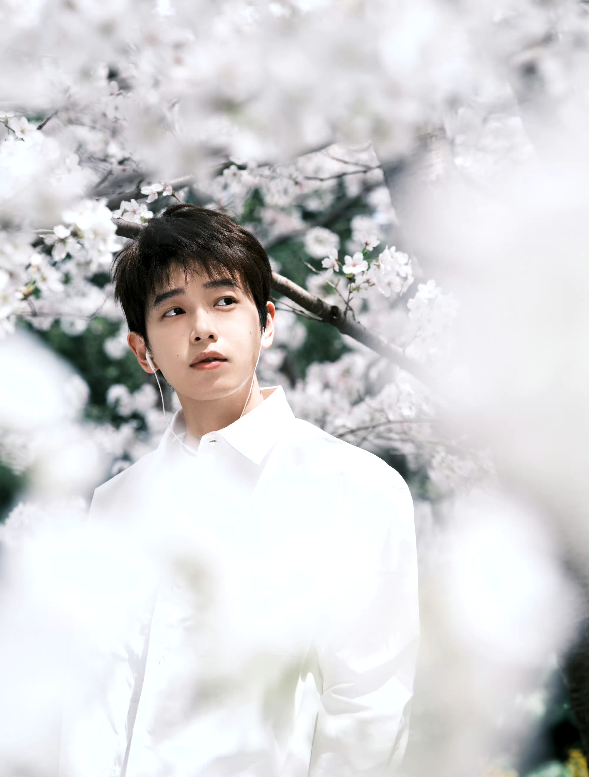 4月6日,彭昱畅晒出一组近照,照片中的他身穿白色衬衫,系着条纹领带