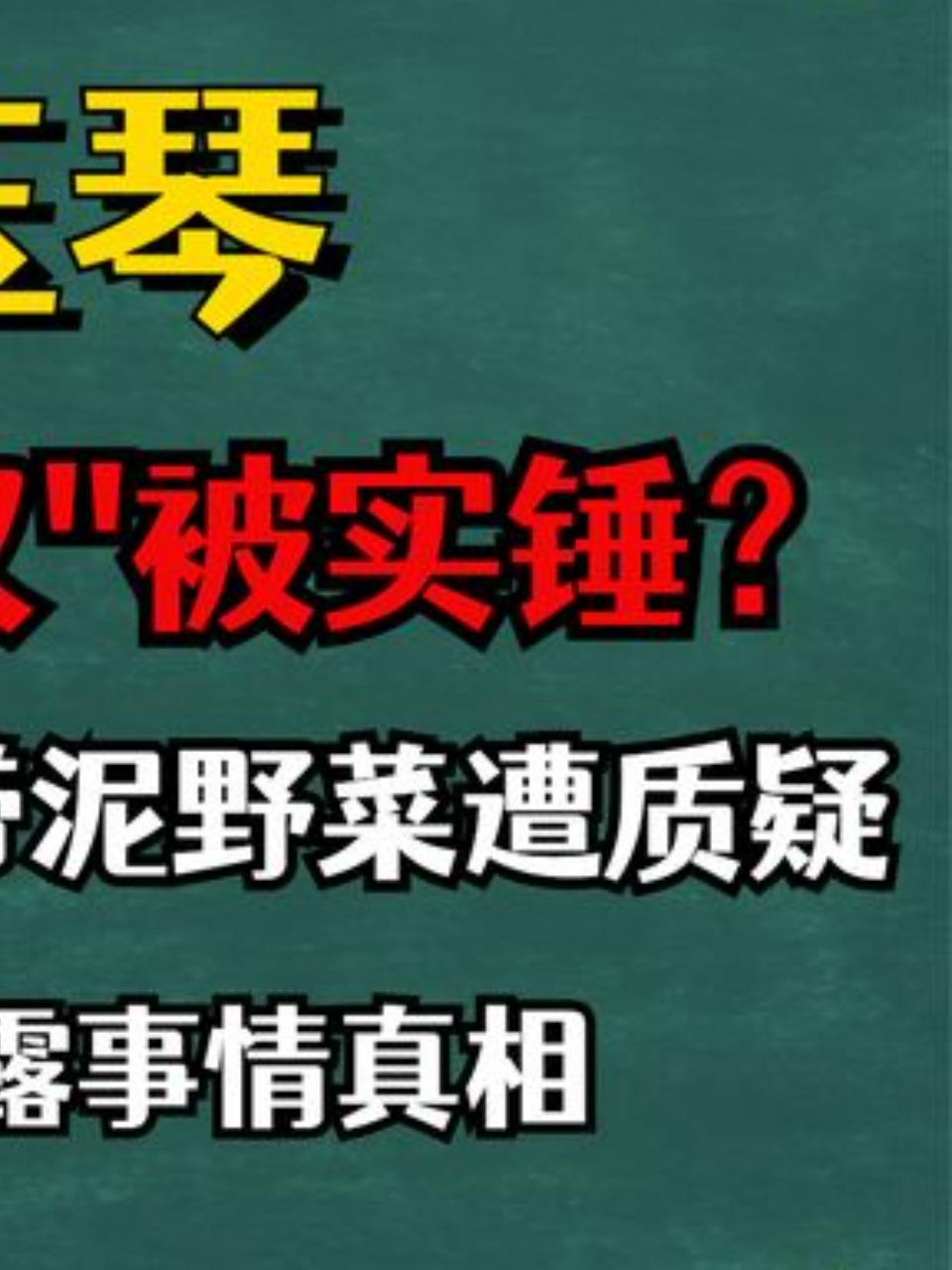85岁马玉琴吃野菜遭质疑,李玉成懒汉实锤!