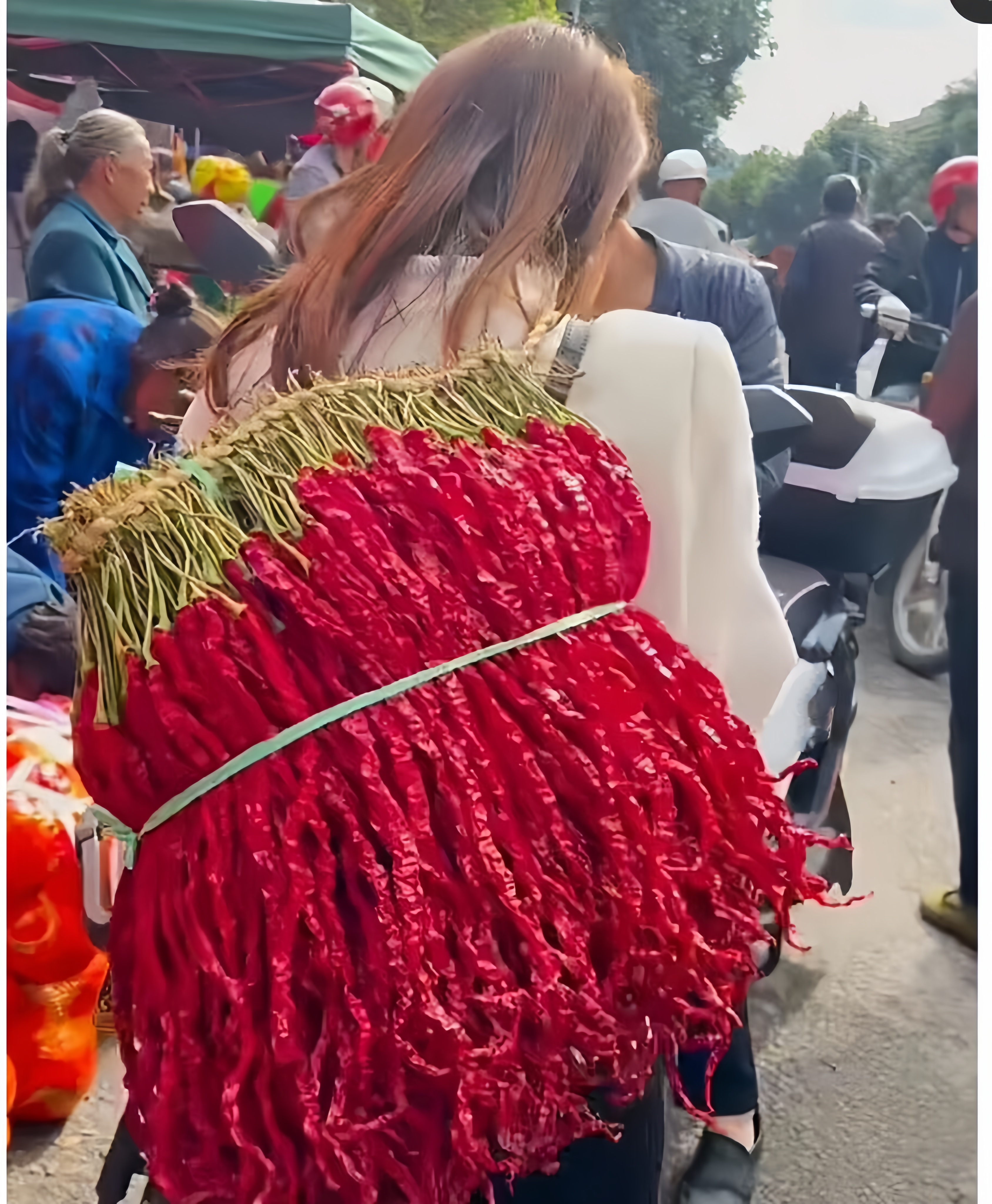 海椒,线椒还是牛角椒?哪产的?