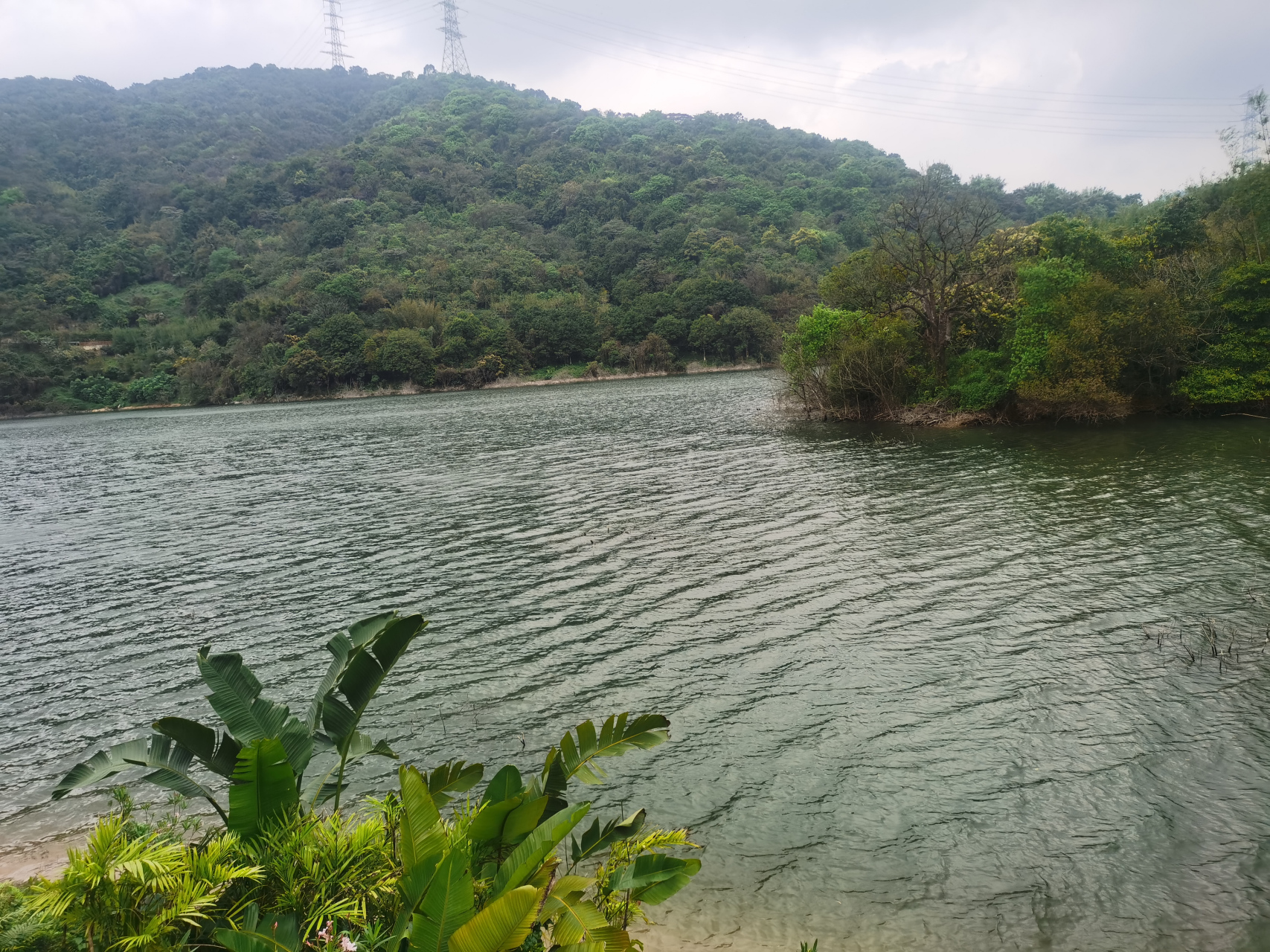 广州市萝岗水声水库大坝