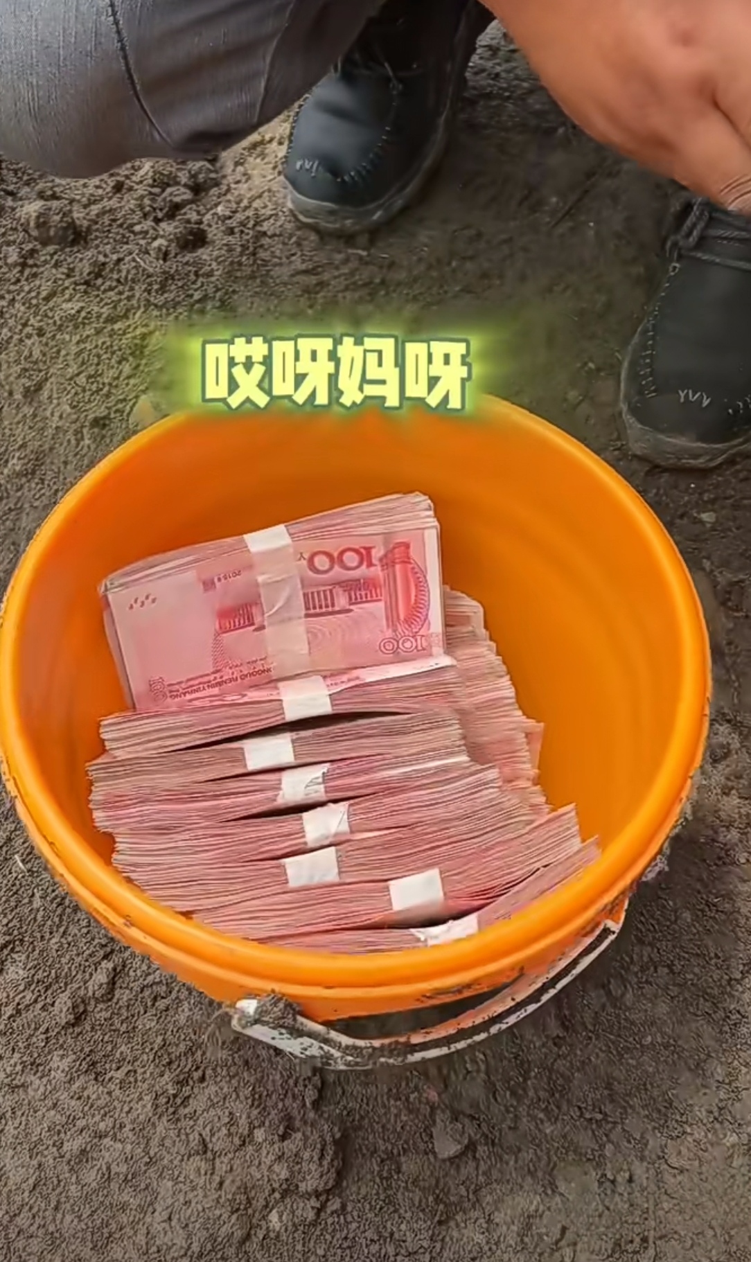 反转太多已经无力吐槽这是私房钱的天花板了樱桃树上接葫芦葫芦娃