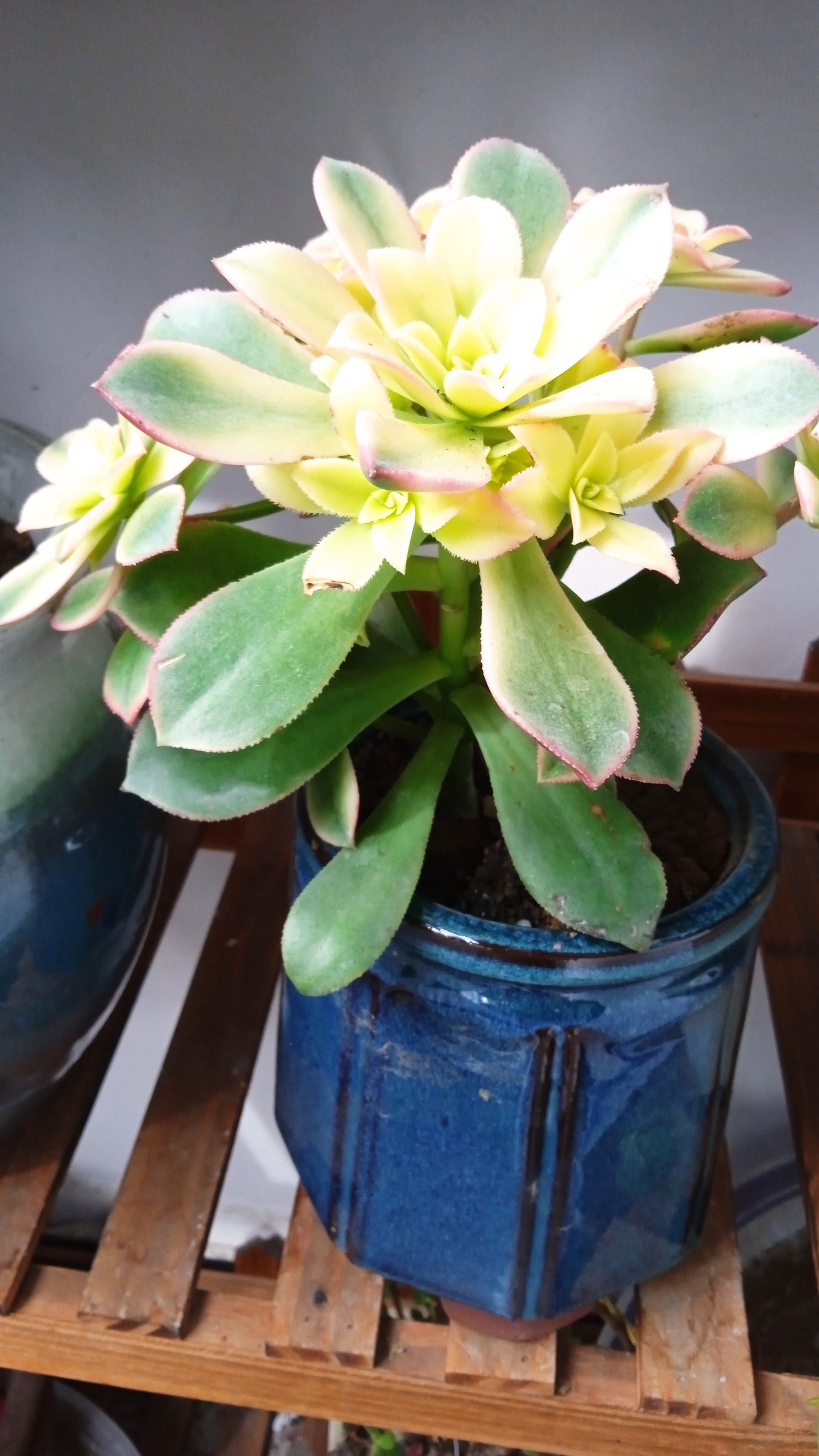 的感受 也应该给自己 一个享受生活的理由