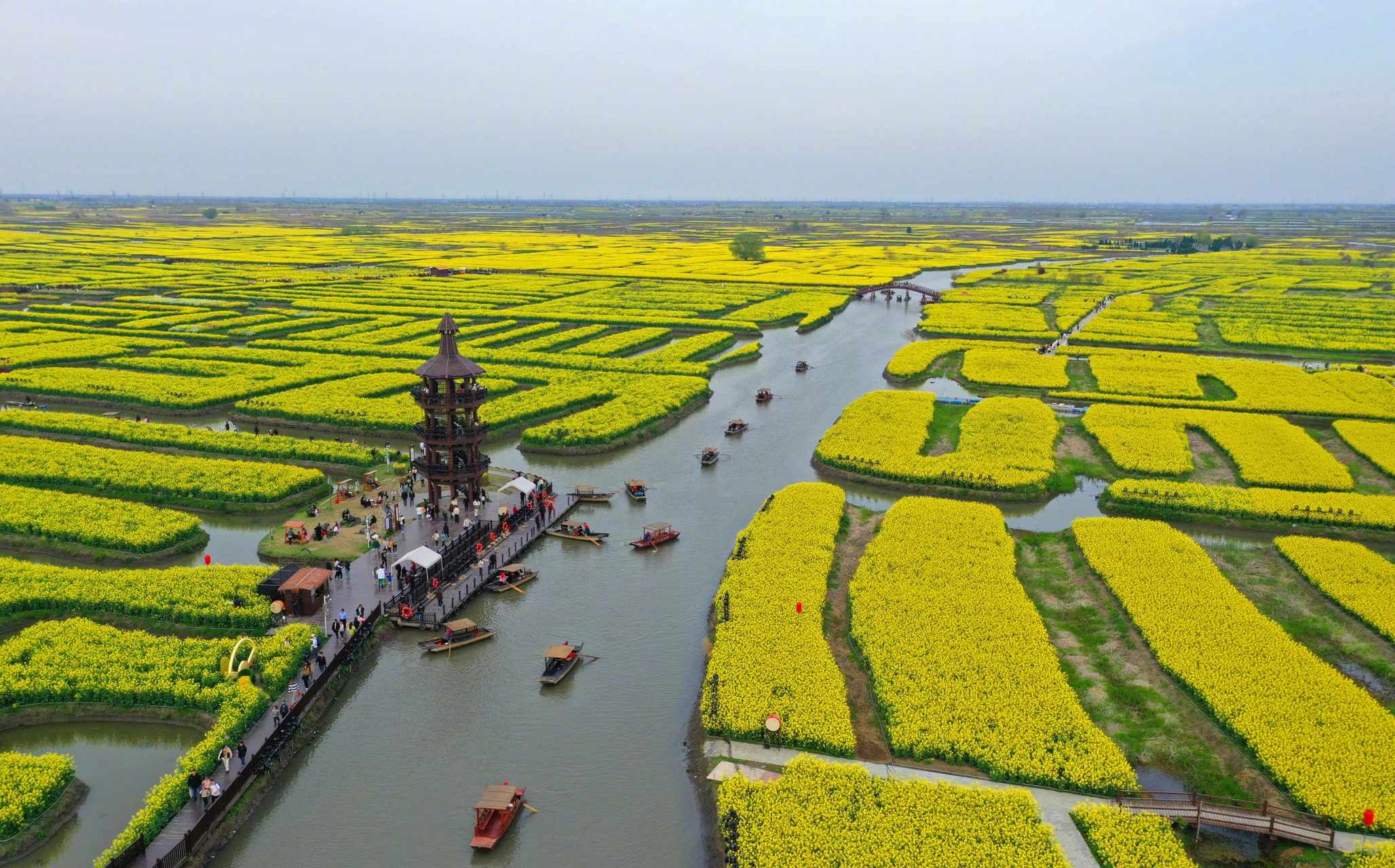 兴化千垛油菜花海美如画卷#】清明时节,春和景明,江苏兴化千垛景区
