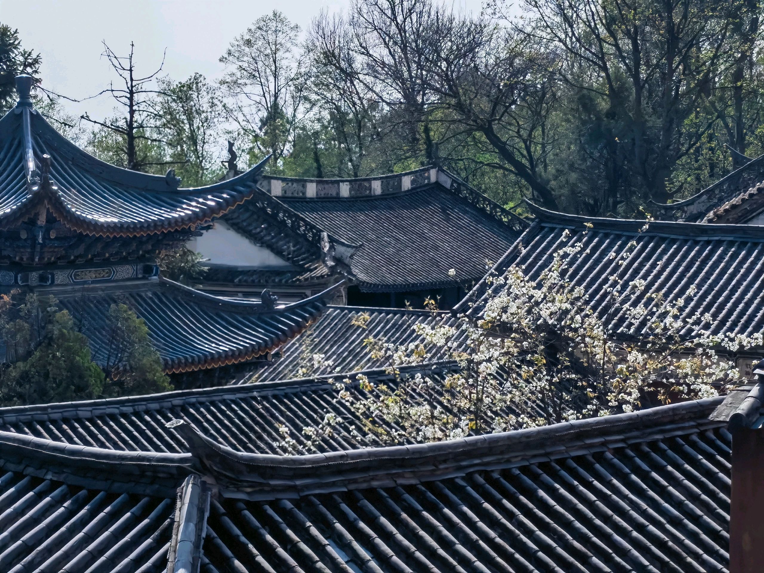 大理苍山无为寺:自然与信仰的和谐交响