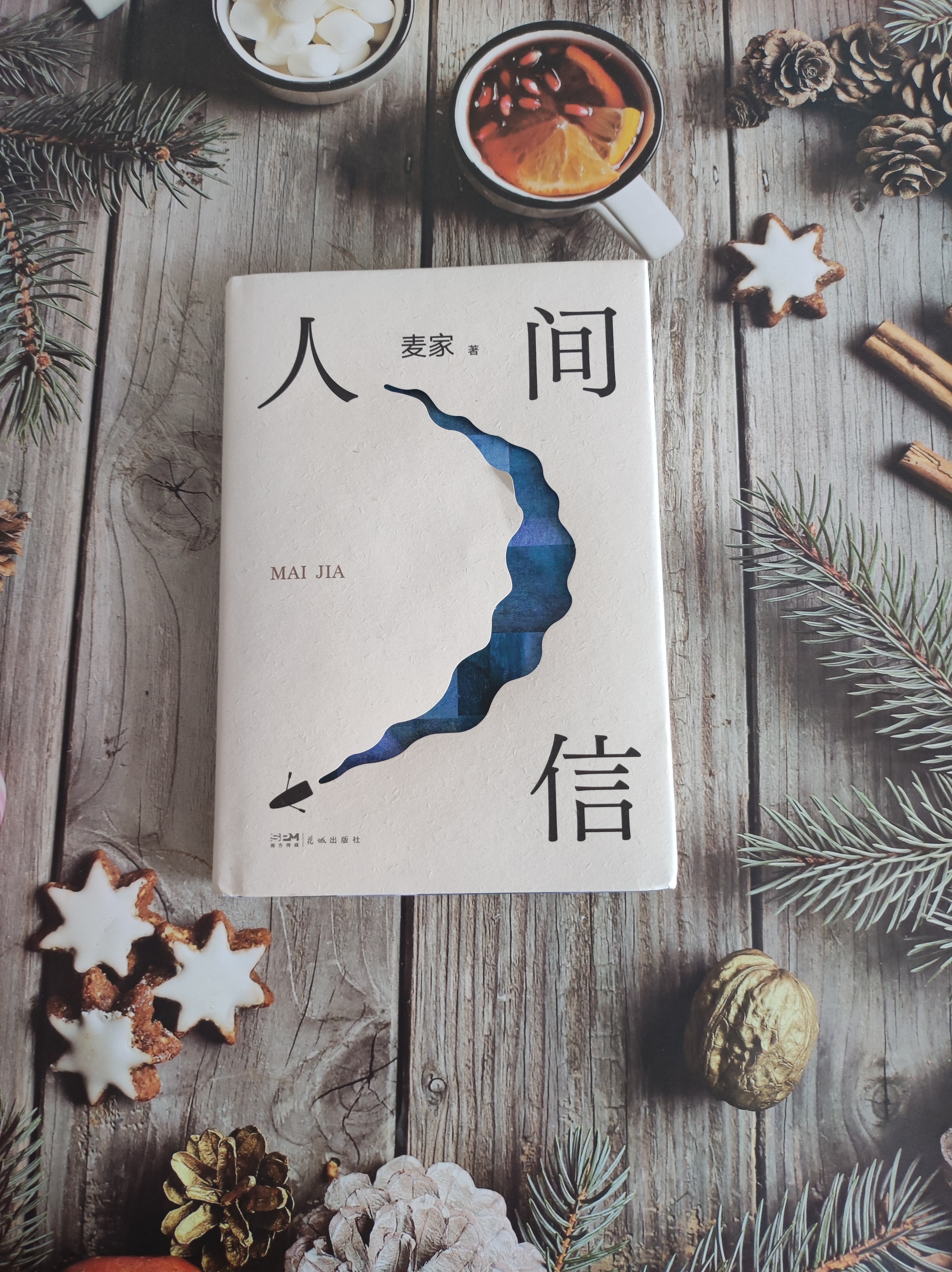 《人间信》麦家最新作品