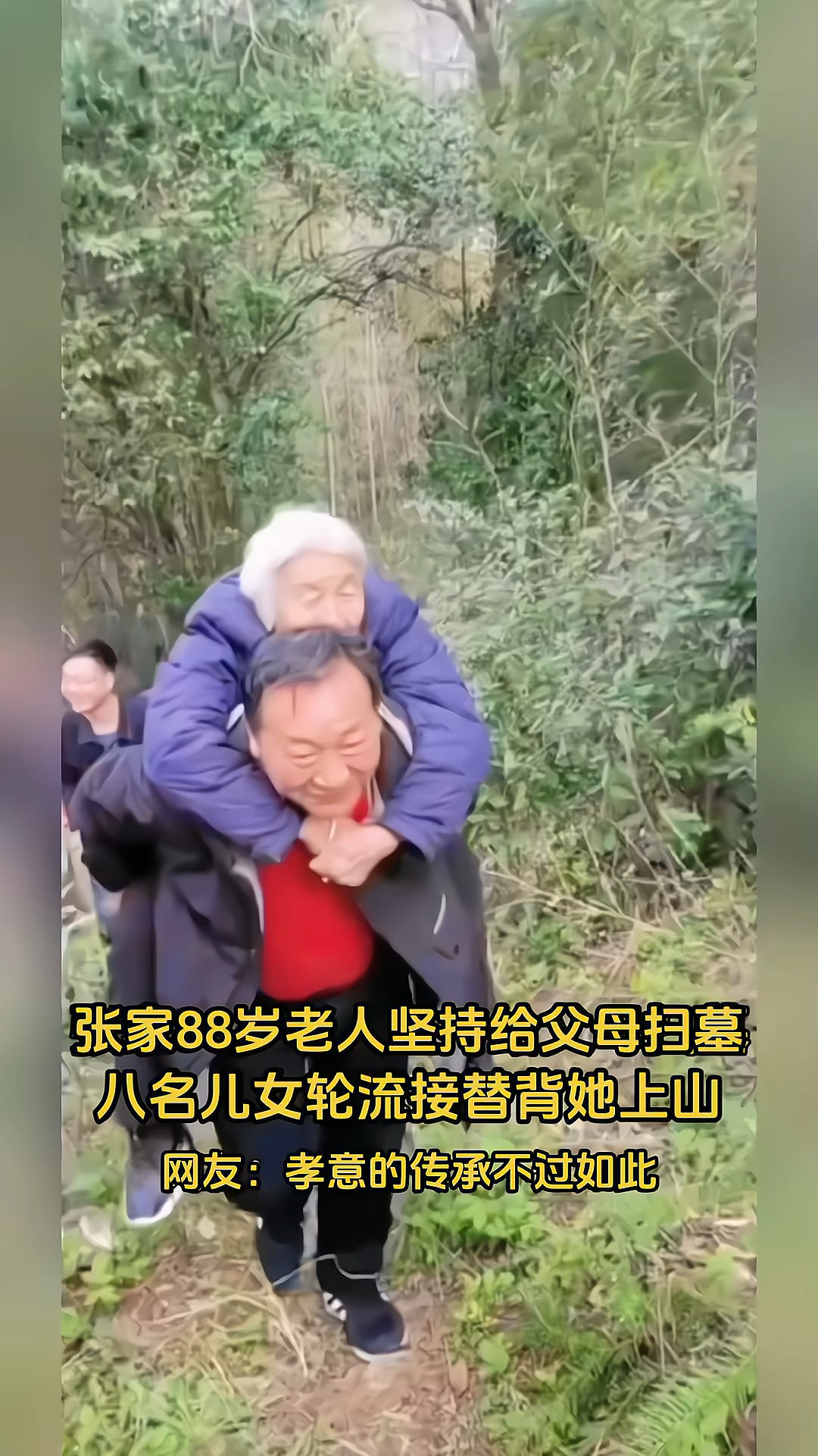 张家88岁老人坚持给父母扫墓儿女轮流背她上山为张家儿女点赞