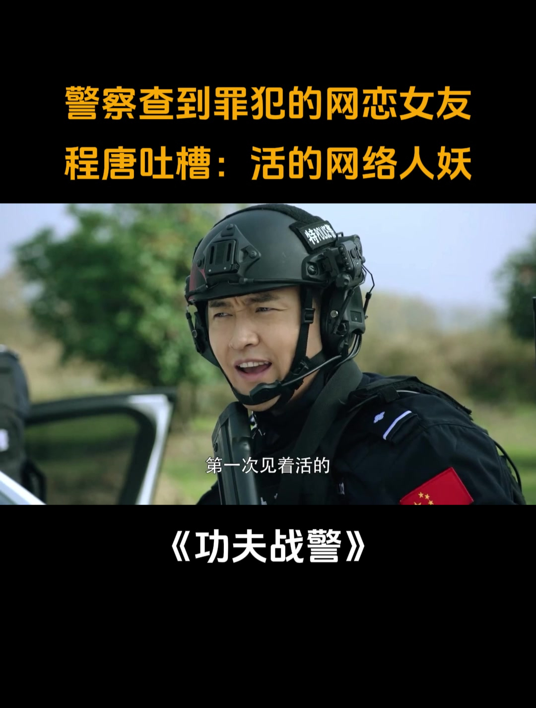 功夫战警评价图片