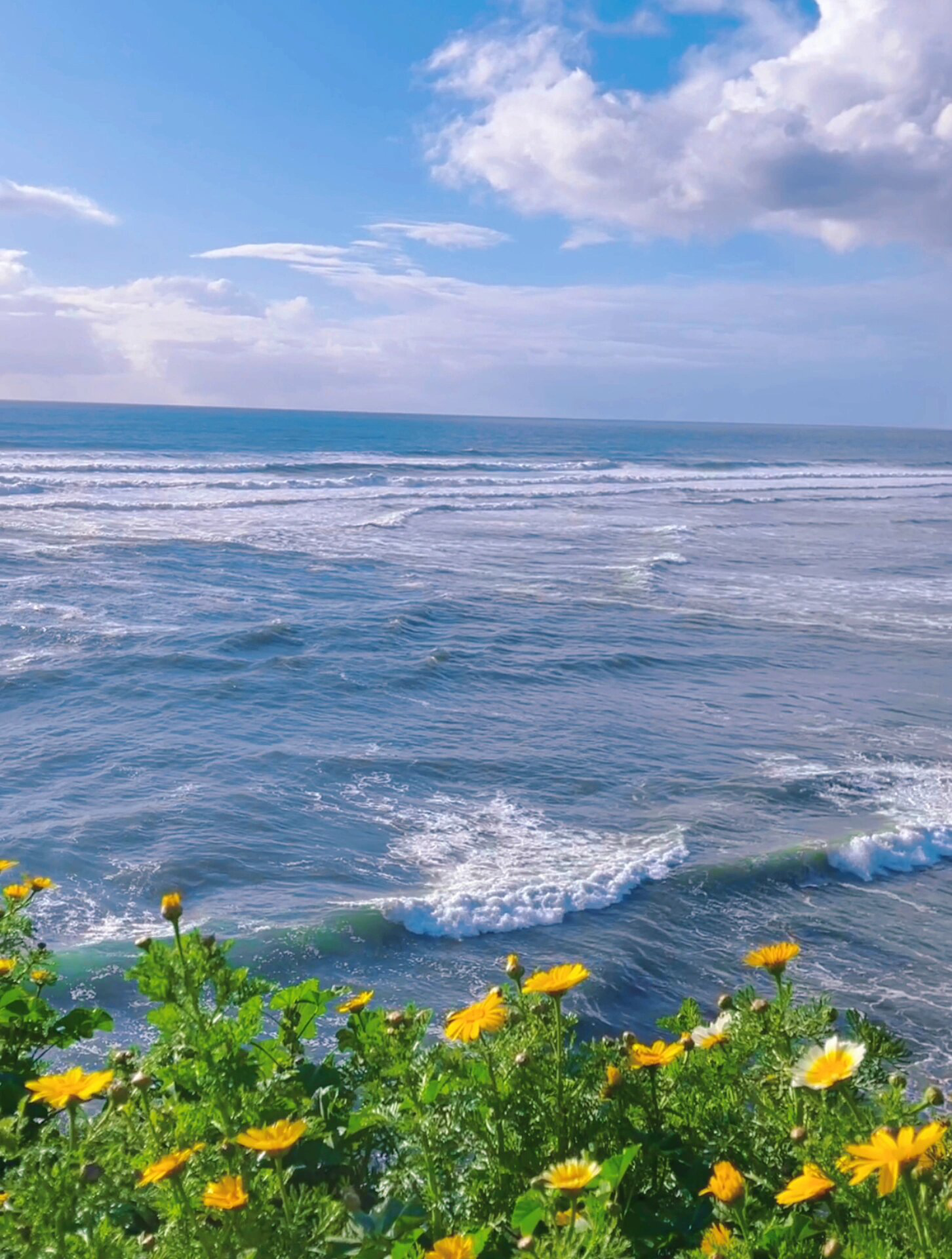 喜欢大海浪花声,喜欢花的绽放,喜欢日出日落:清淡的生活多点乐趣,往日