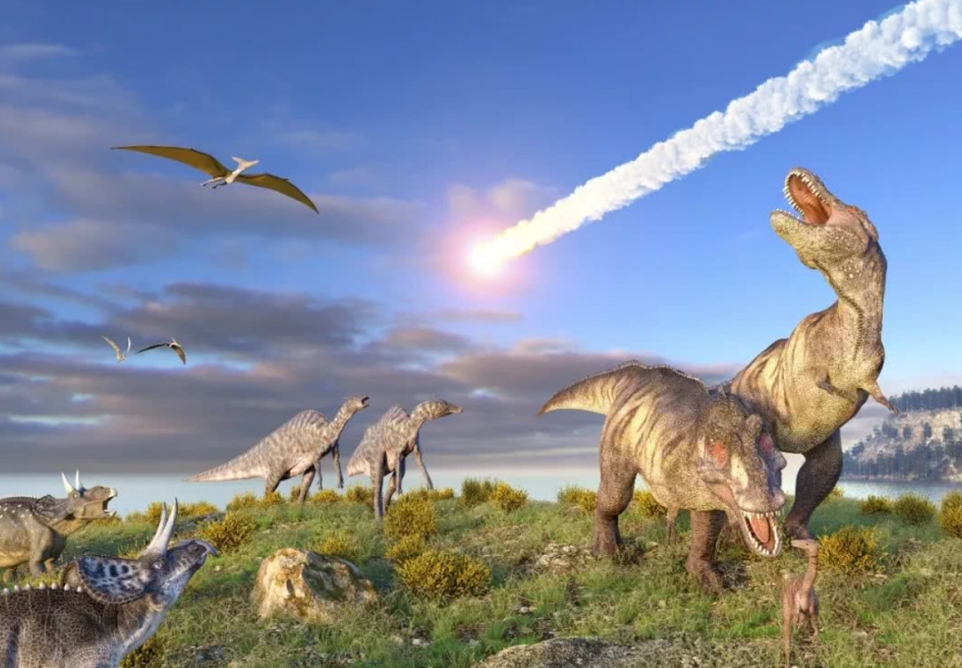 恐龙灭绝时间图片