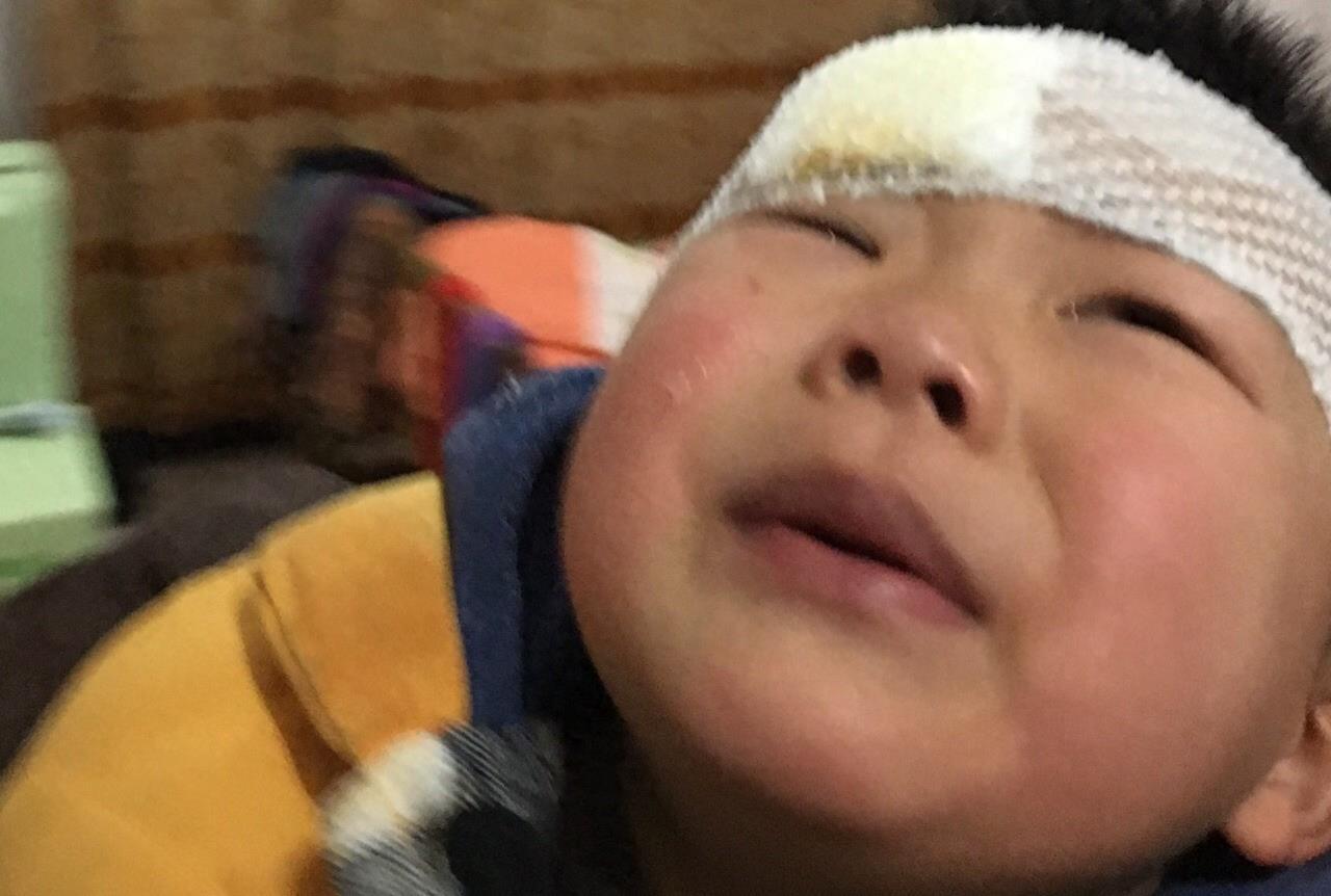 在久别重逢的那一刻,奶奶满怀期待地走进儿子刘振的家门,然而,她期待