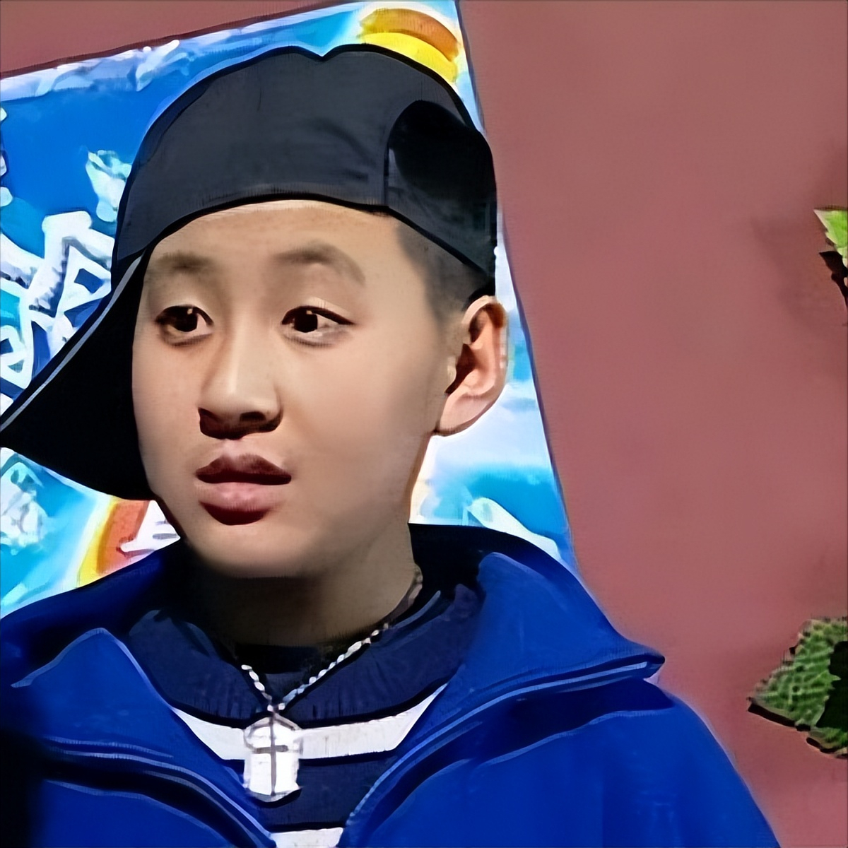 家有儿女10位小演员有人没戏拍有人红得发紫对比太唏嘘