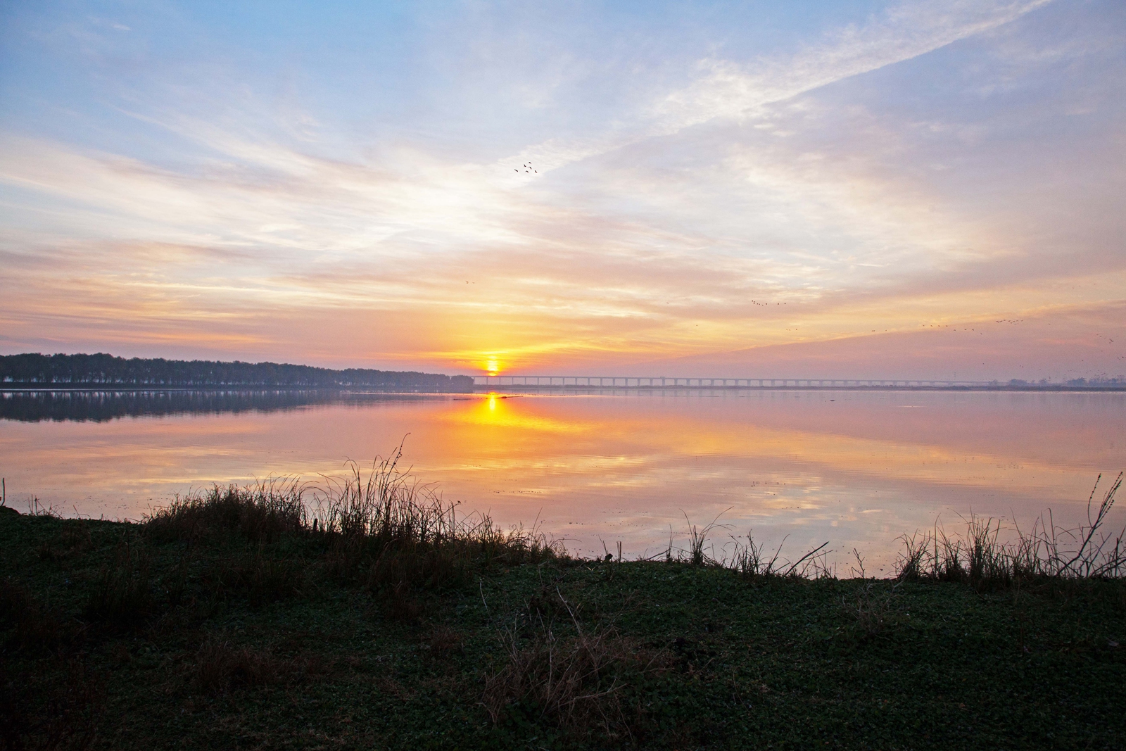 2023"这,就是东西湖·自然风光摄影大赛"这些作品闯入决赛