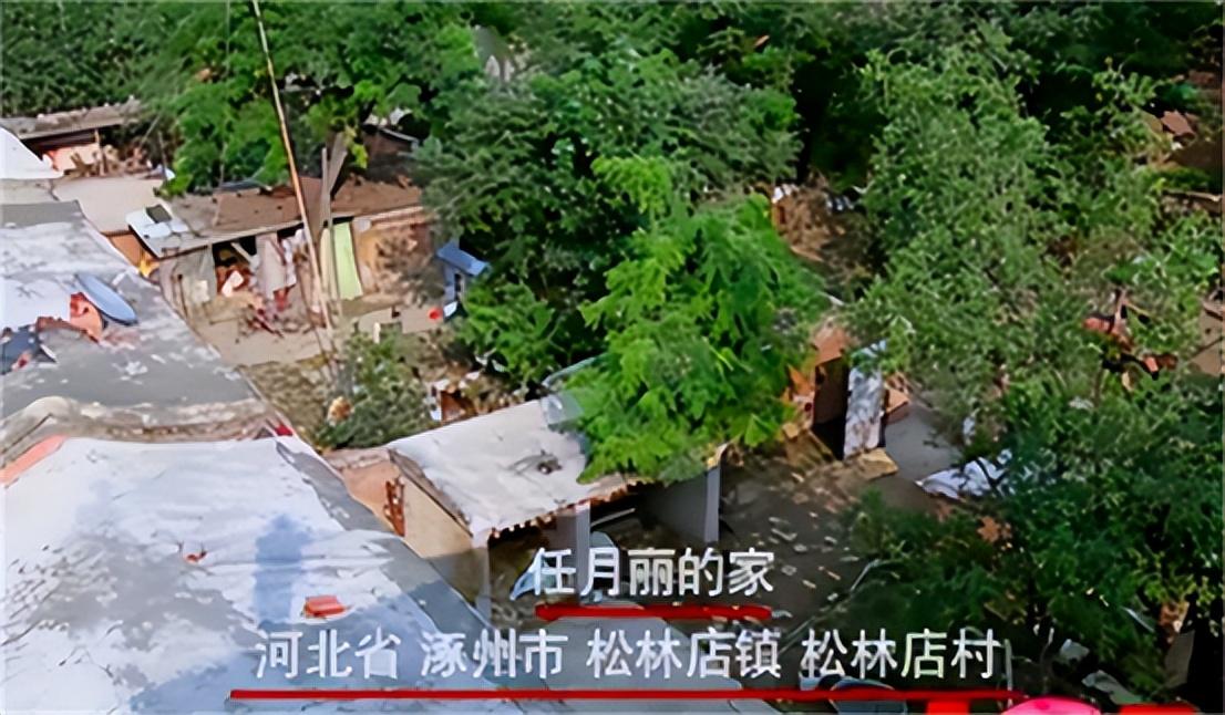 13岁辍学发誓要做第二个董明珠西单女孩任月丽做到了吗