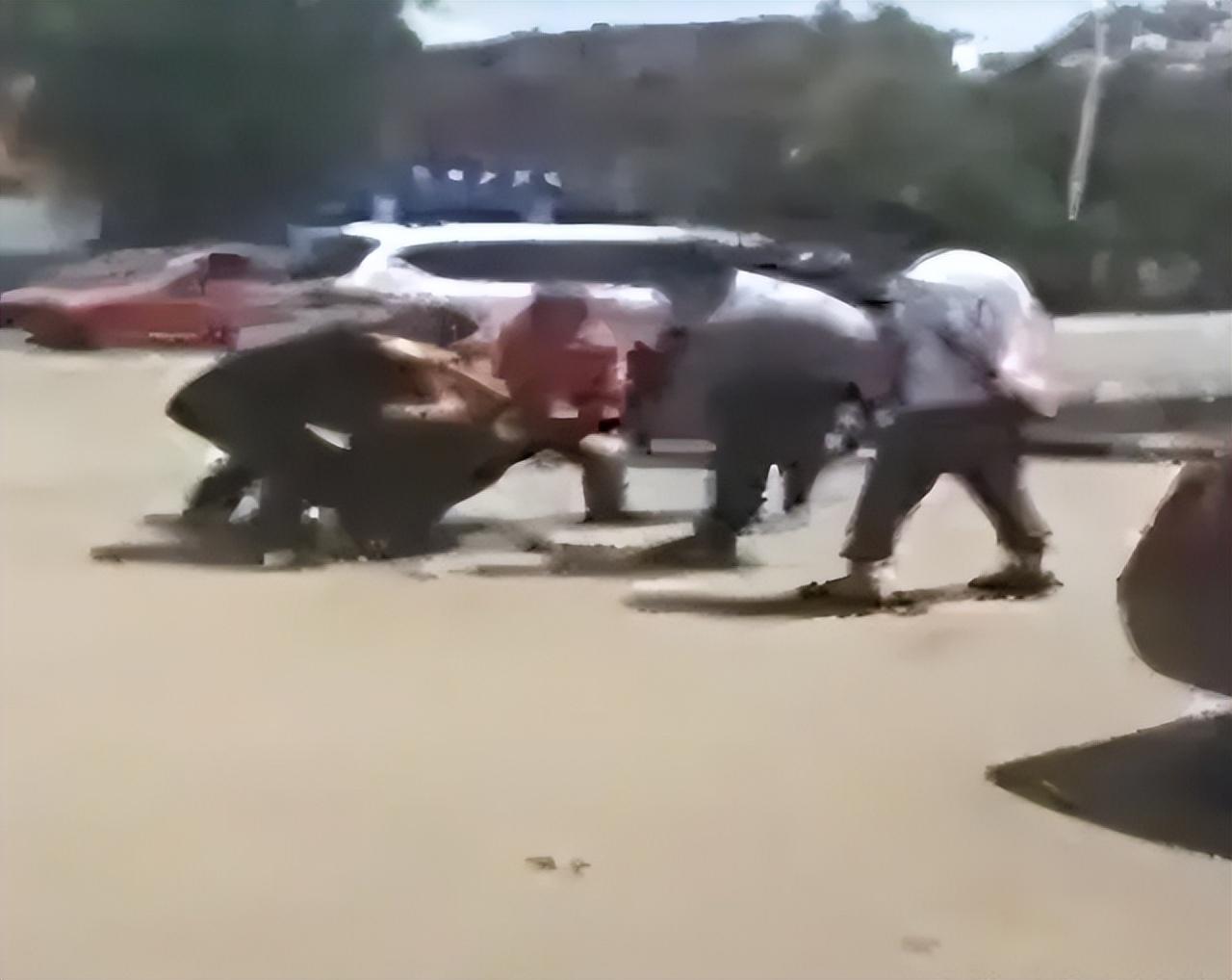 2016年男子被四名壮汉当街暴打警察调查后打人者每人奖一万