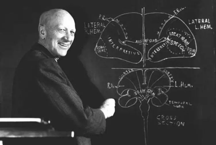 孩子聪不聪明,看手就知道,聪明的大脑会在手上显"信号"