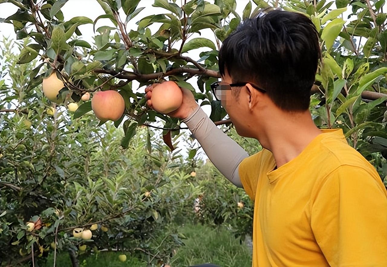 22岁男子偷苹果溺亡家属向果农索赔85万法院赔钱