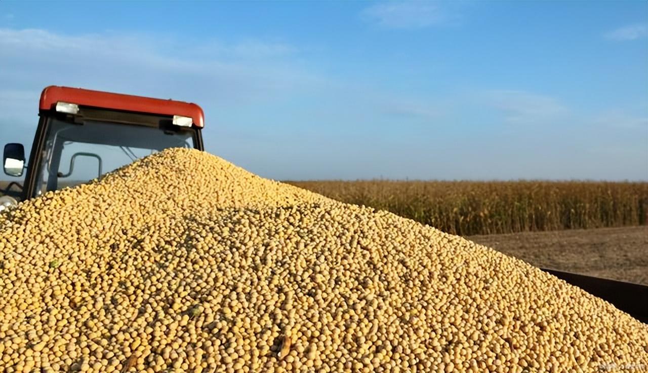 中印两国都是人口大国,为什么中国到处买粮食,印度却出口粮食?