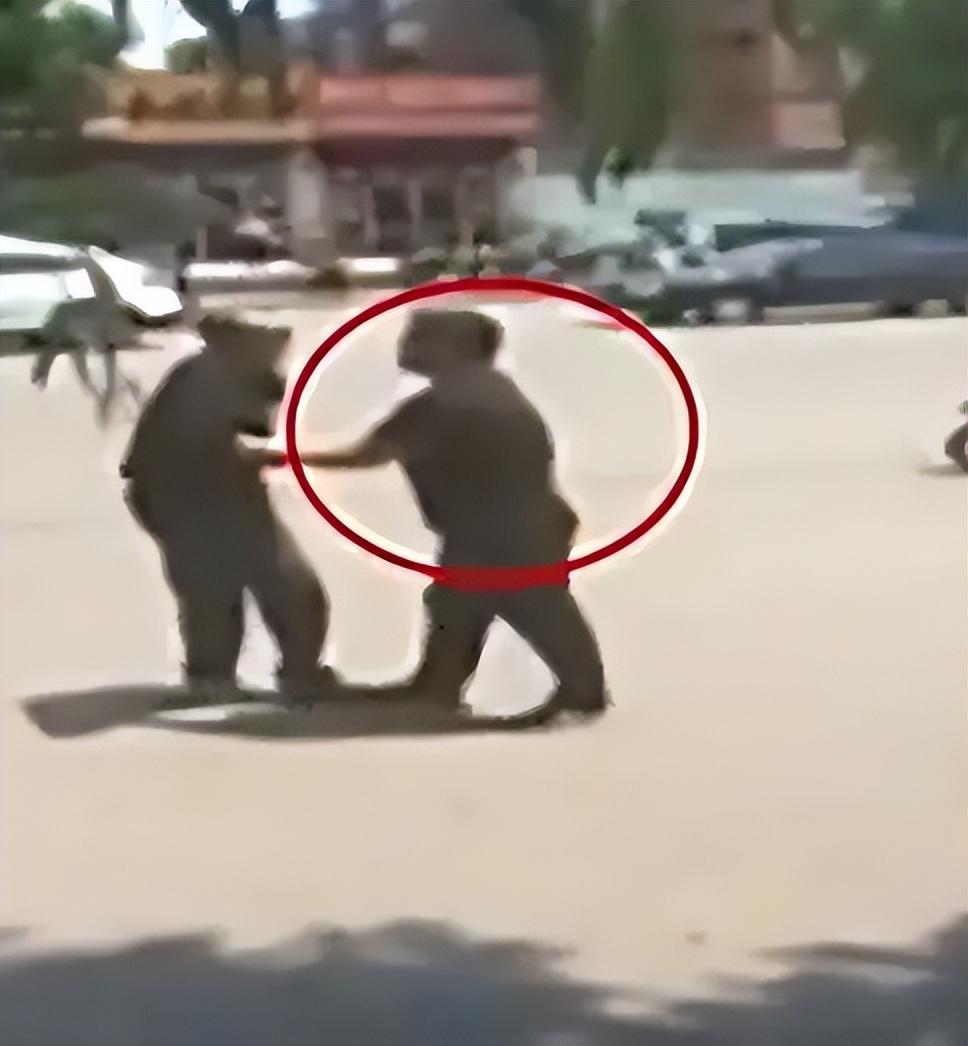 2016年男子被四名壮汉当街暴打警察调查后打人者每人奖一万