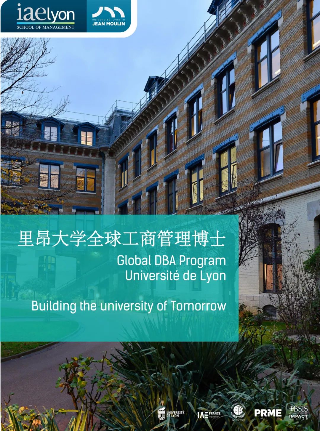 里昂大学里昂第三大学dba工商管理博士招生国际合作选择里昂