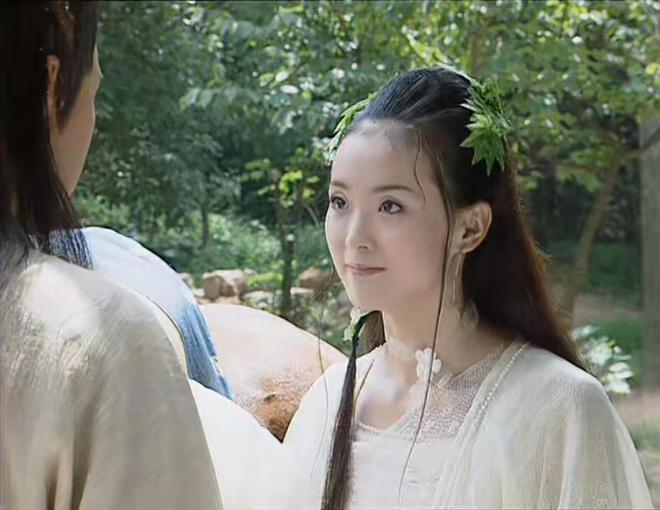 饰演男主角沈浪的是27岁的黄海冰,这个角色把他的事业推上了白热化