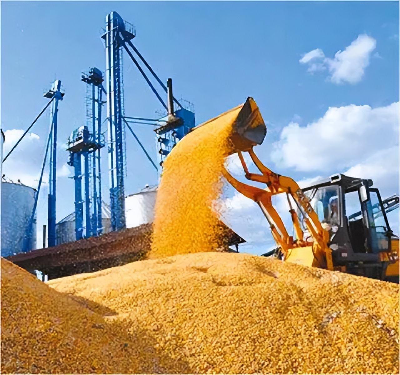 中印两国都是人口大国为什么中国到处买粮食印度却出口粮食