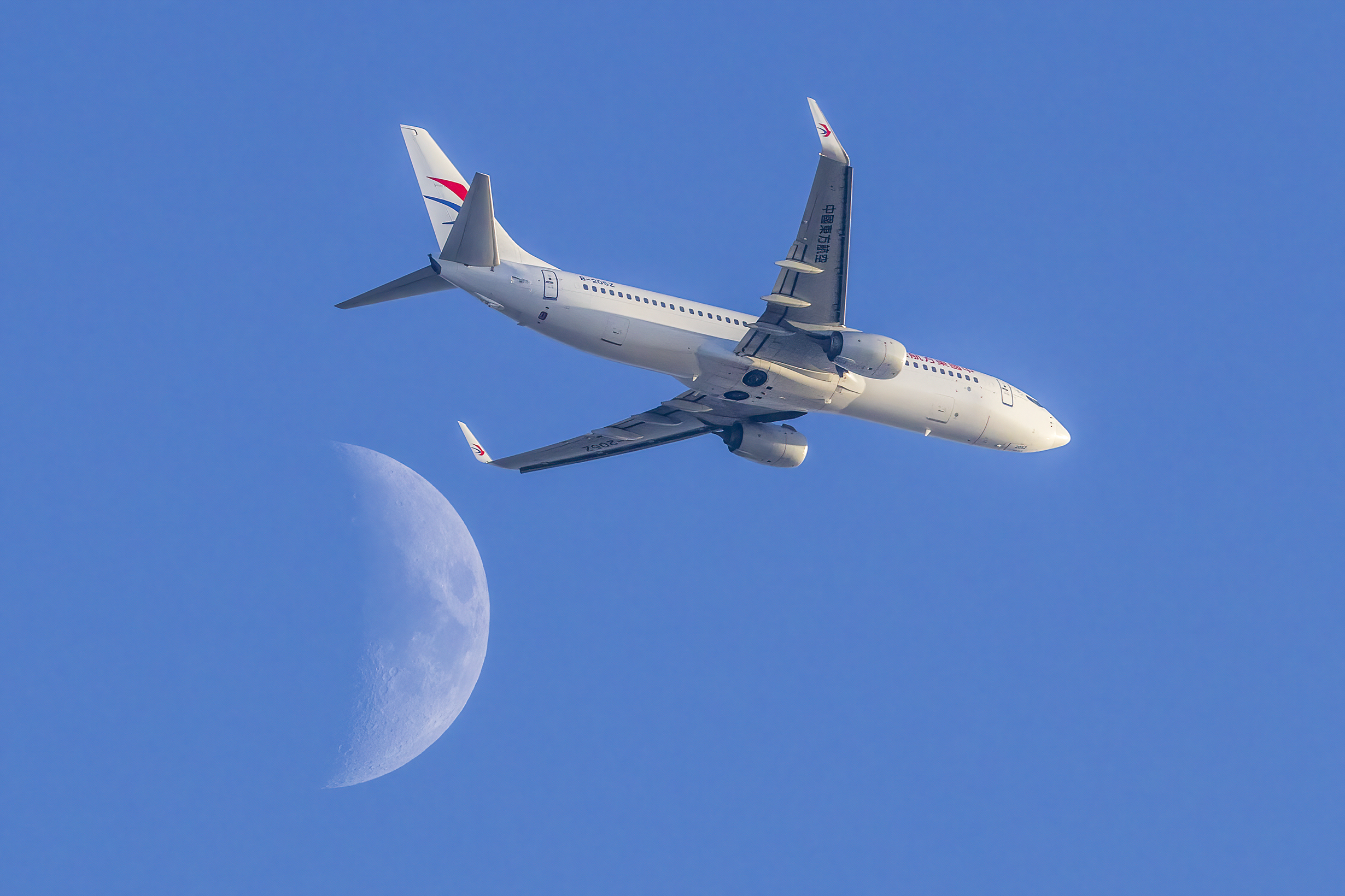 2023"这,就是东西湖·自然风光摄影大赛"这些作品闯入决赛