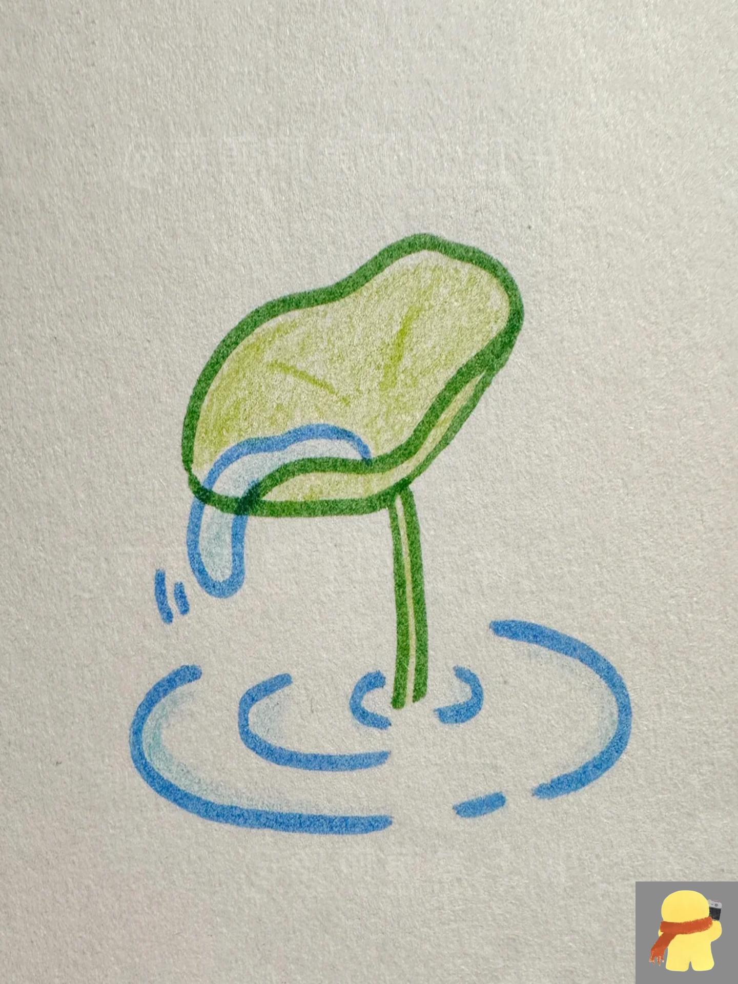 滑得快就是动画 只要滑得够快,它就是动画 滑滑看,荷叶露珠要滚下去变