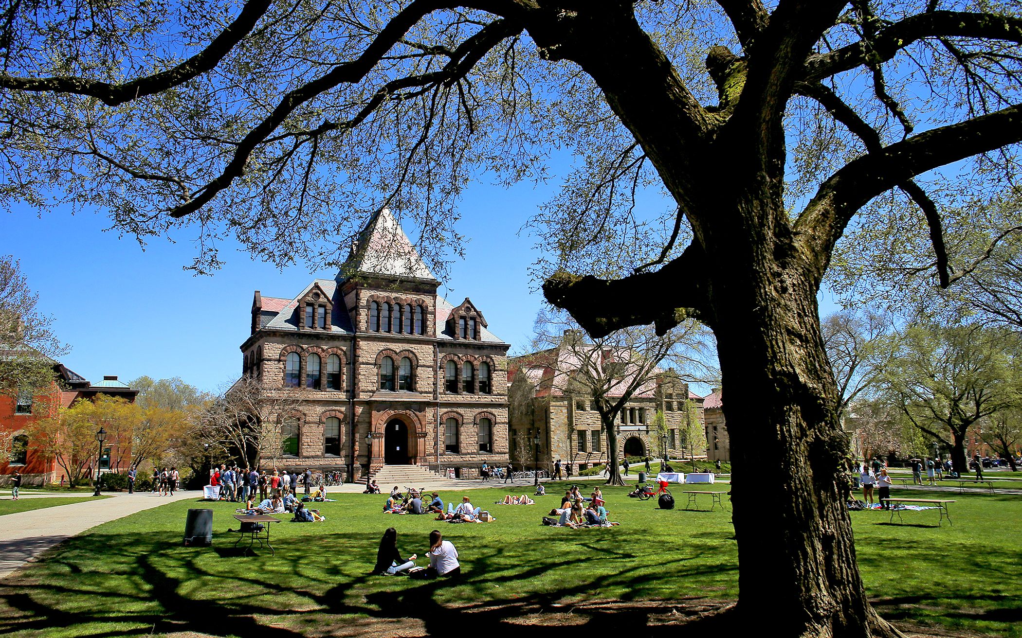 2024年美国八大藤校放榜,彻底告别"最惨申请季"