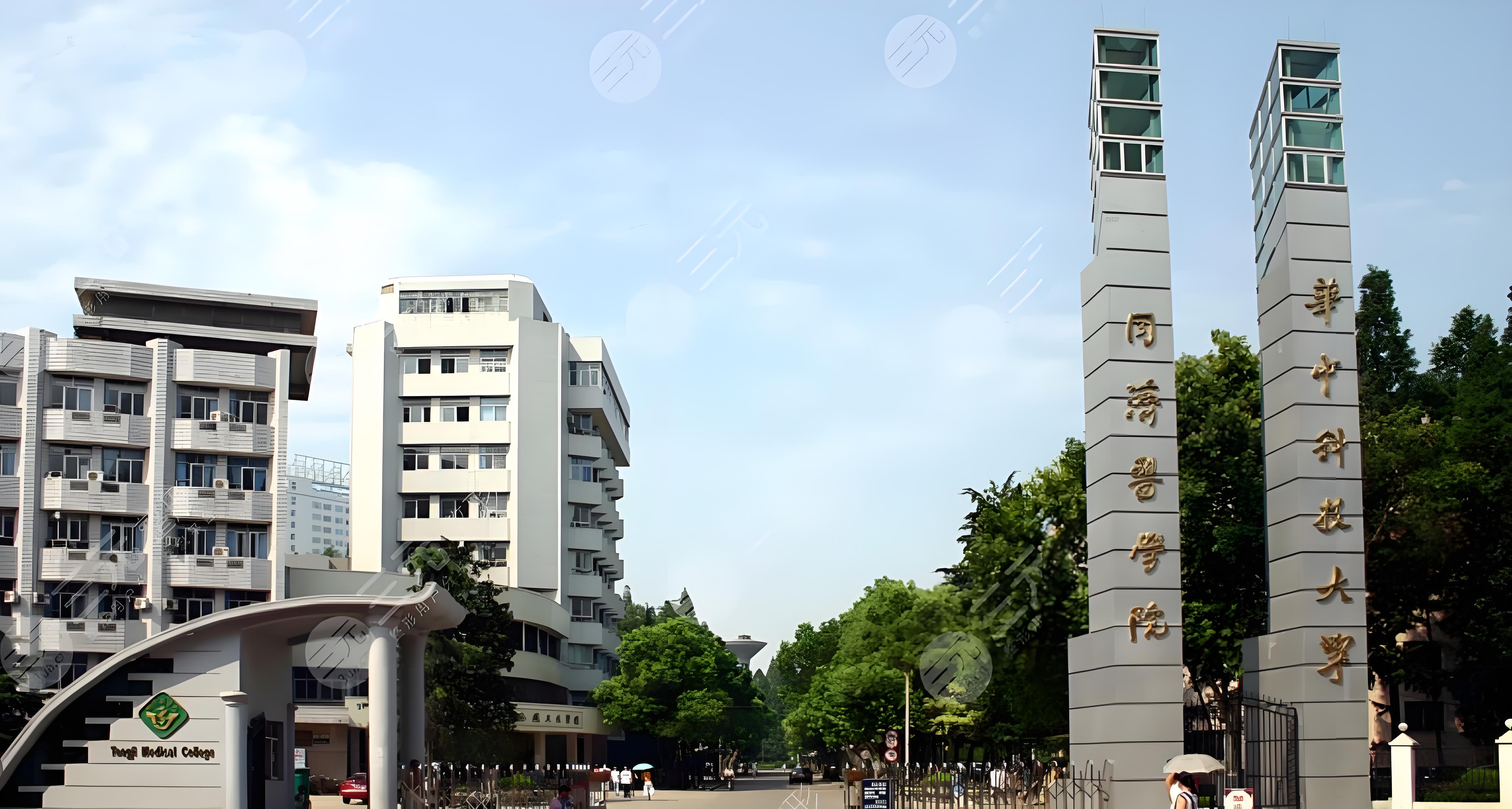 同济医学院校区图片