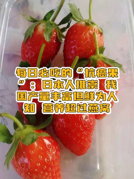 每日必吃的抗癌果日本人推崇我国产量丰富但鲜为人知营养超过燕窝