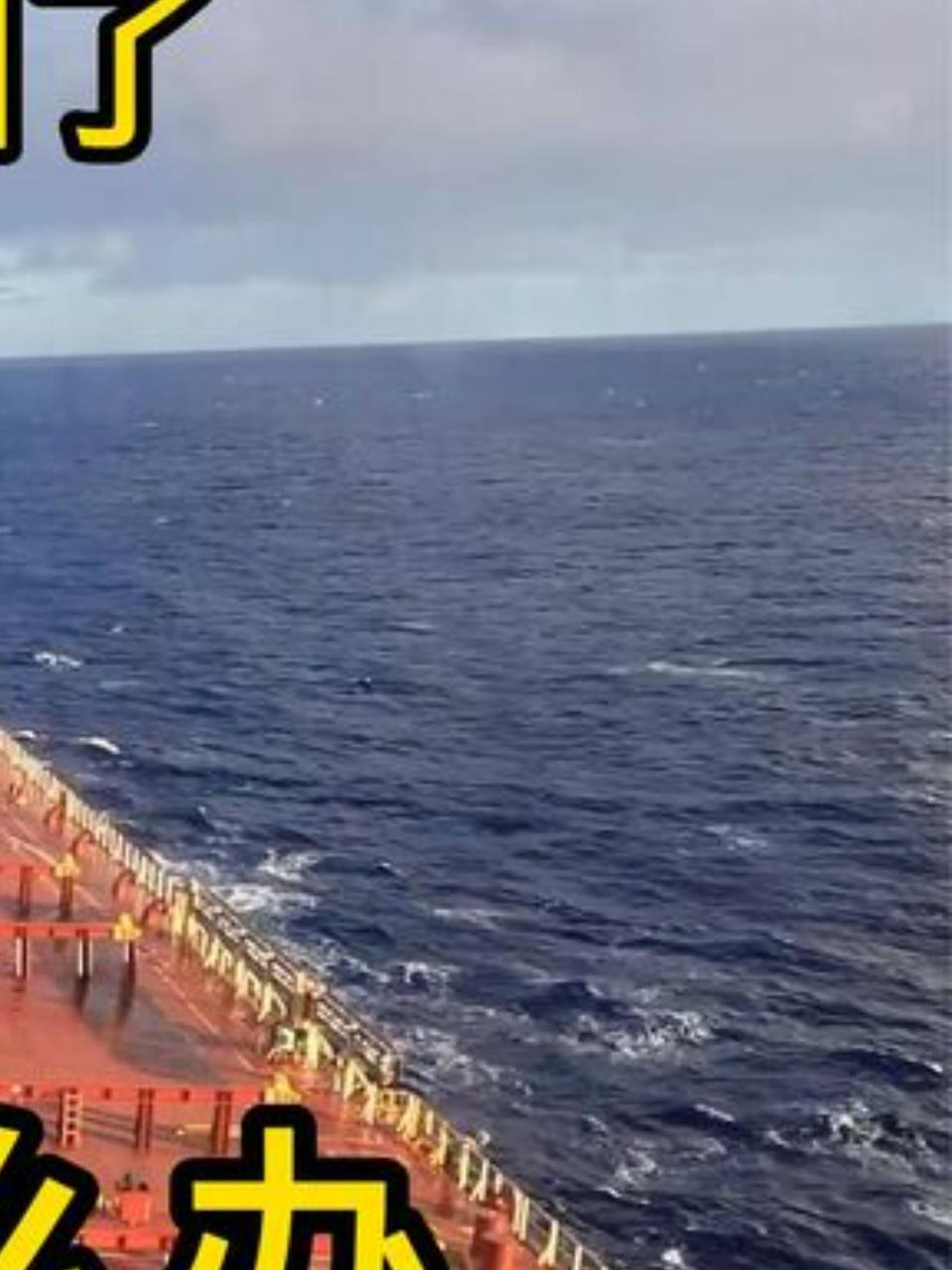 船上断烟十天,船员戒烟奇迹!荷兰加油后,烟民躁动不安!