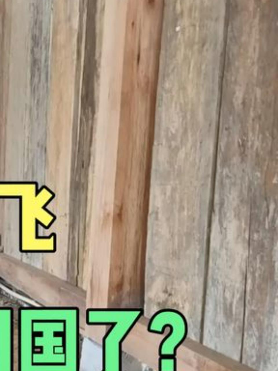 翠花寻夫记:越南山中失散,寻找阿飞的艰辛之路3