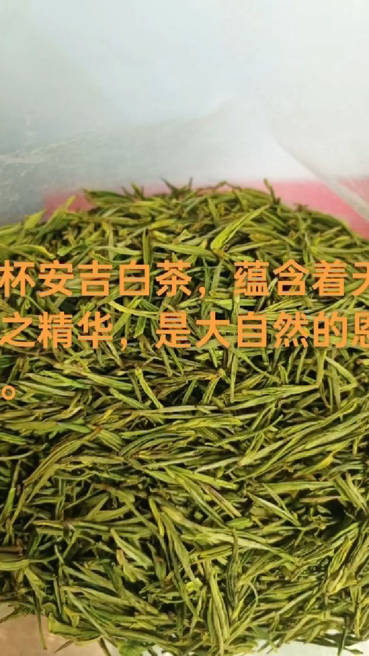 一杯安吉白茶,蕴含着天地之精华,是大自然的恩赐.