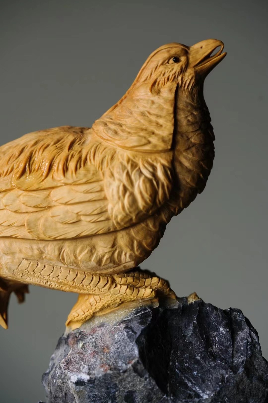 黄杨木 锦绣光明 锦鸡