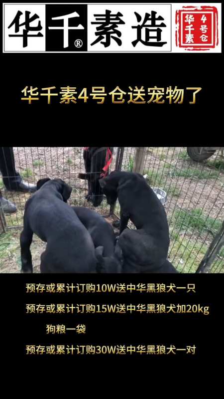 华千素4号仓是西安地区官方唯一授权客户服务中心旗舰仓储店