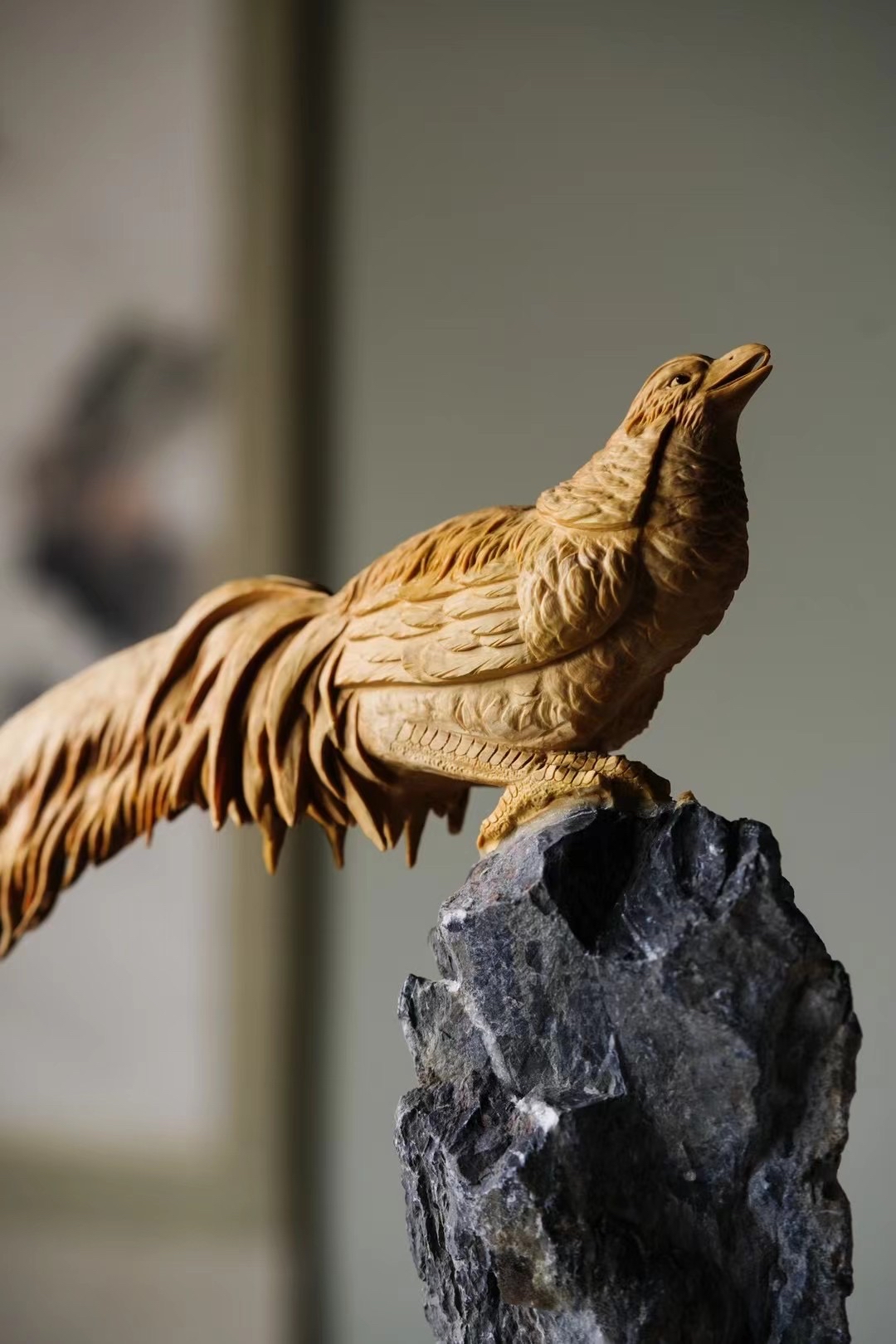 黄杨木 锦绣光明 锦鸡