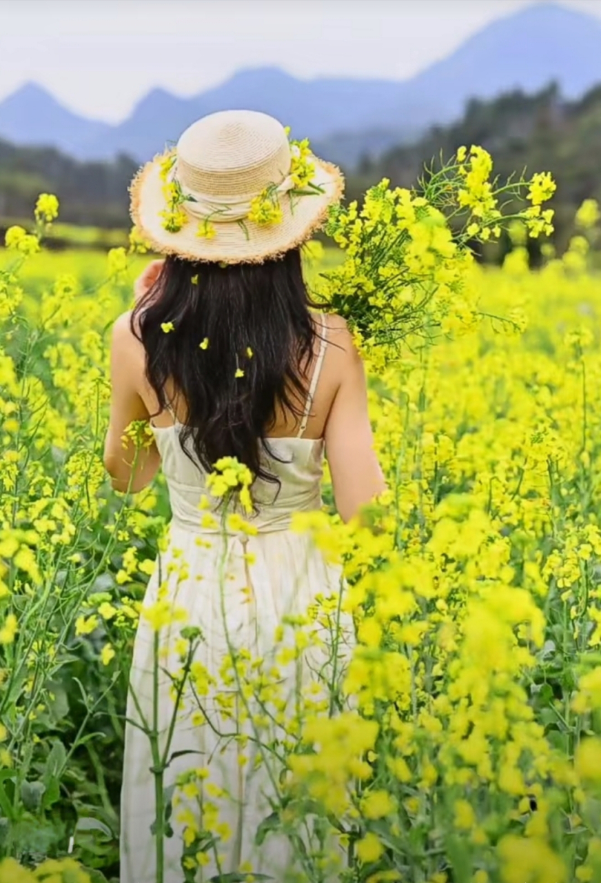 油菜花海是美女们拍靓照的好地方