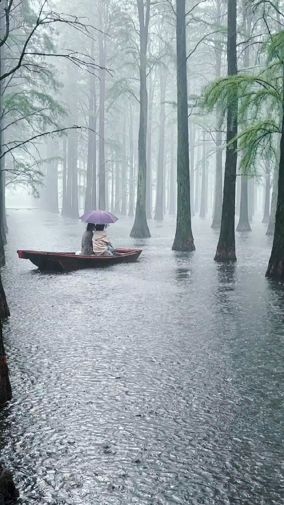 下雨天听雨的唯美图片图片