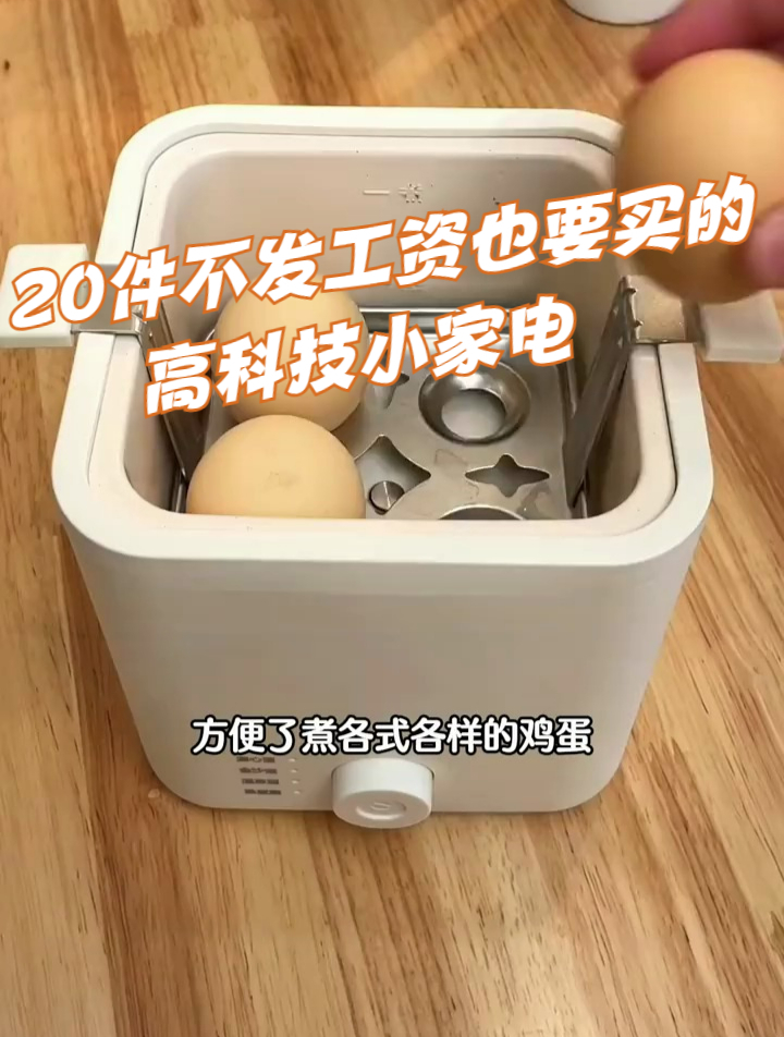 20件不发工资也要买的高科技小家电