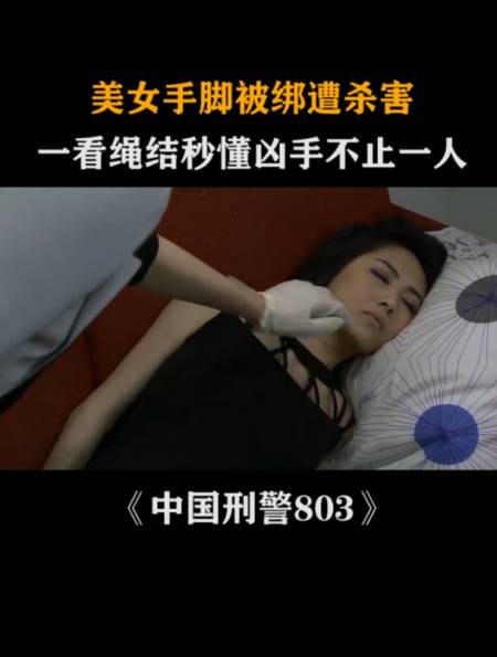 中国刑警803女警图片