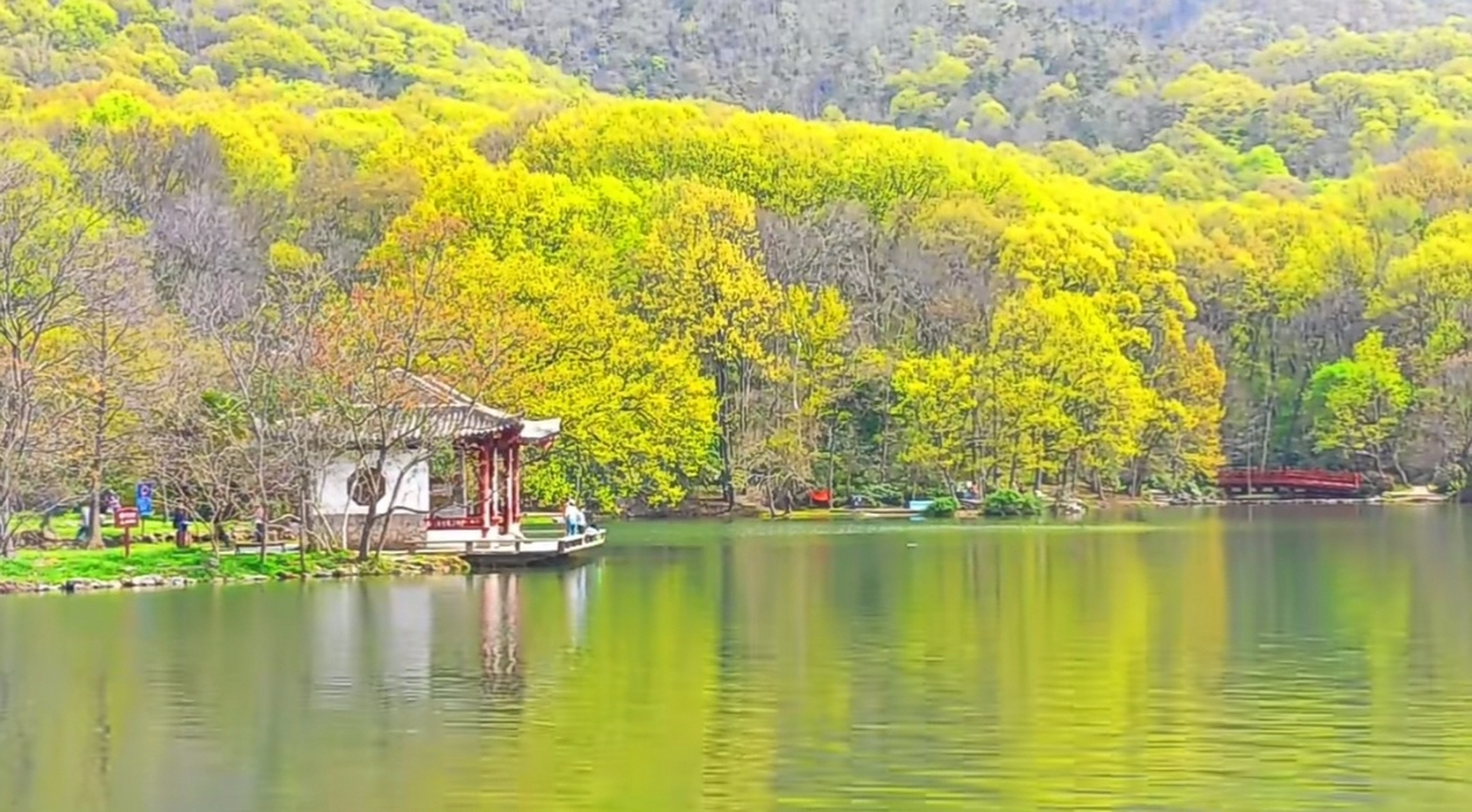 流水潺潺,百花绽放的紫霞湖