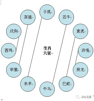 十二生肖相生相克图表