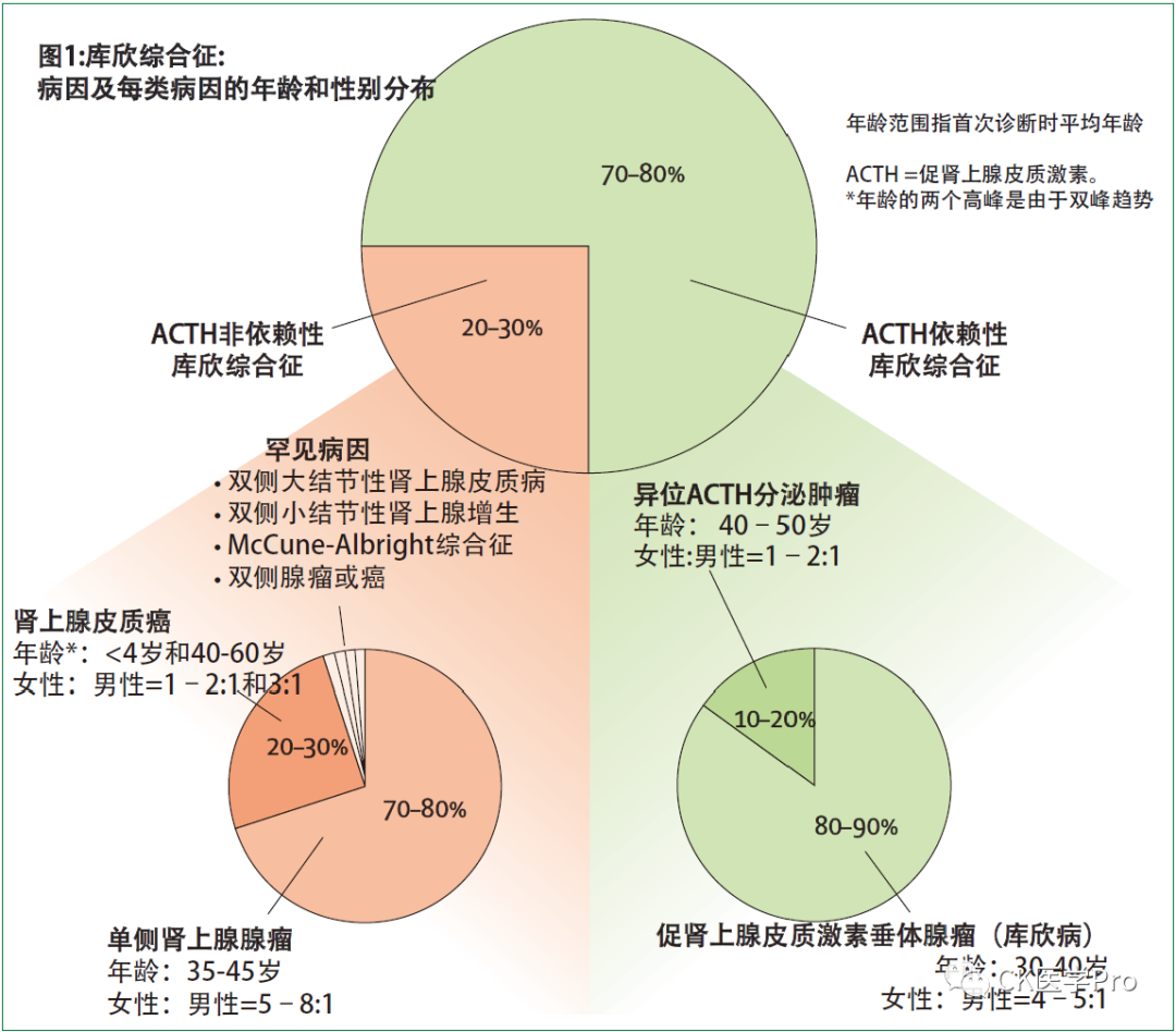 怎么判断得了库欣病图片