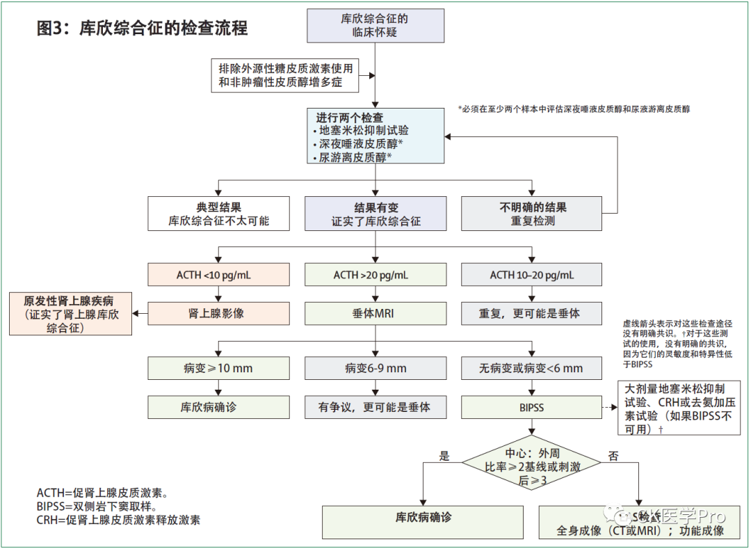 世界库欣综合征日l2024库欣综合征