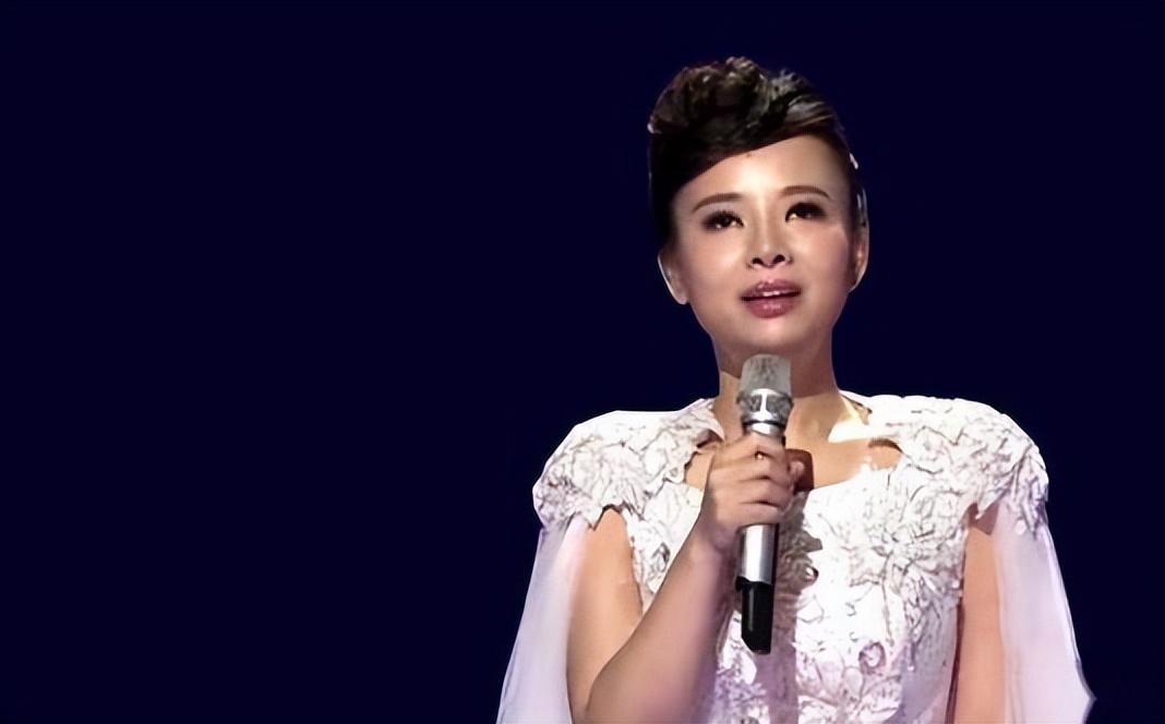 刘赛《星光大道》获得总冠军的成绩