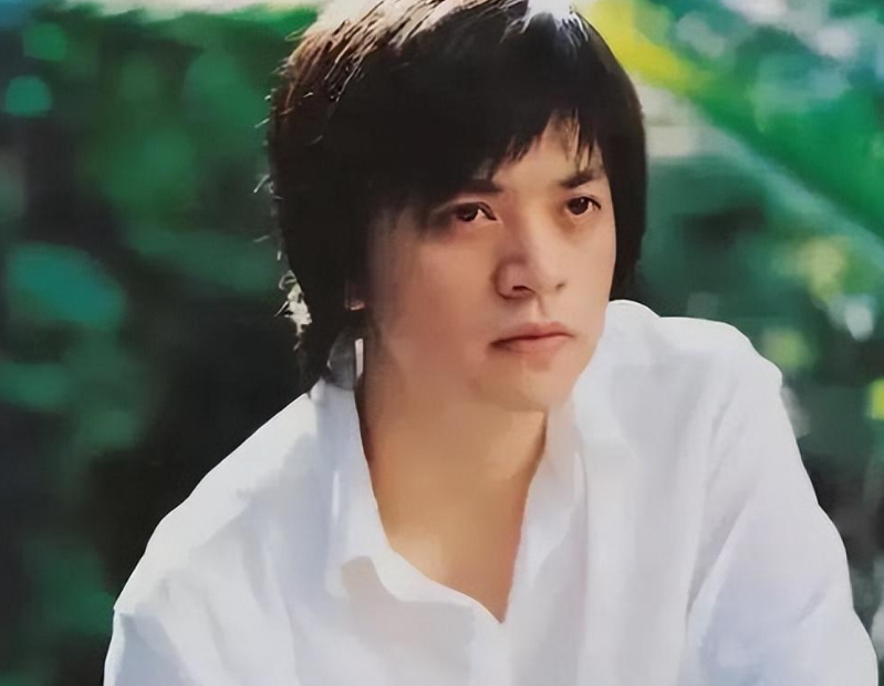 丁克19年后李健的人间清醒撕裂多少人的隐痛