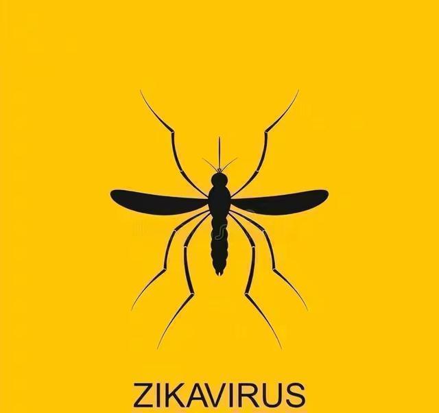 九成人不懂蚊子最大天敌是啥教你个土法整夜开窗不怕