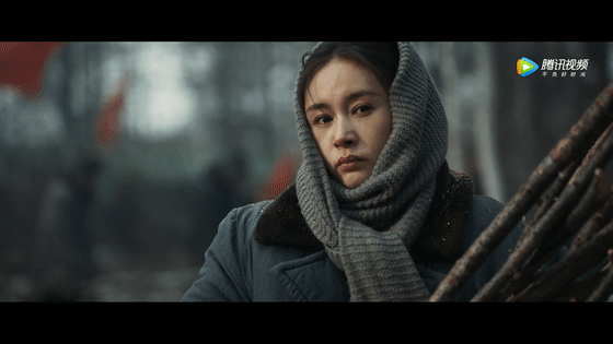 王子文—后来居上的典型