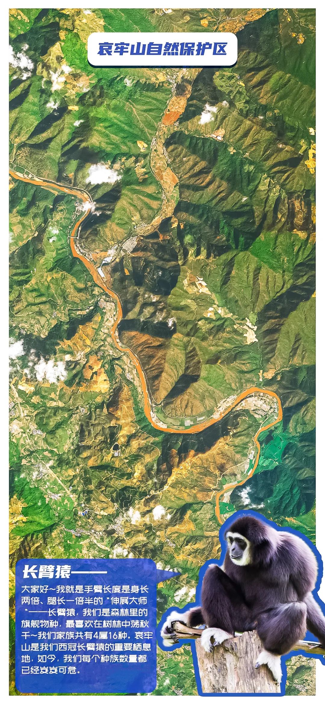 星图地球飞越自然保护区一起倾听珍稀动物的声音